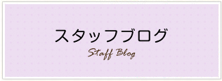 スタッフブログ